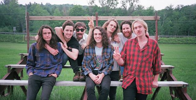 King Gizzard and The Lizard Wizard, Geese
